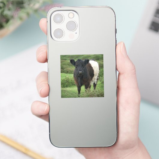 Galloway Cow Aufkleber (Telefon)