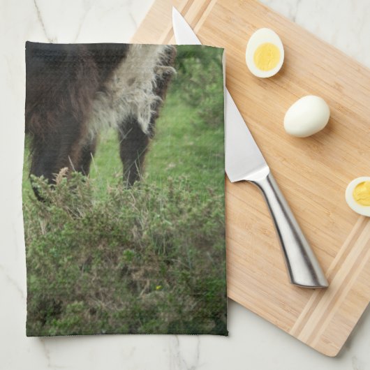 Galloway Cow Geschirrtuch (Viertel Falte)