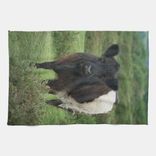 Galloway Cow Geschirrtuch (Horizontal)