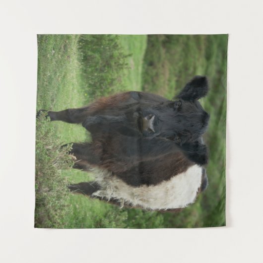 Galloway Cow Wandteppich (Vorderseite (Horizontal))
