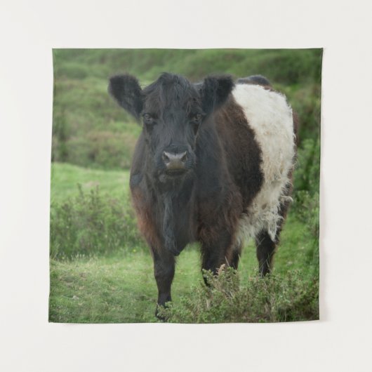 Galloway Cow Wandteppich (Vorderseite)