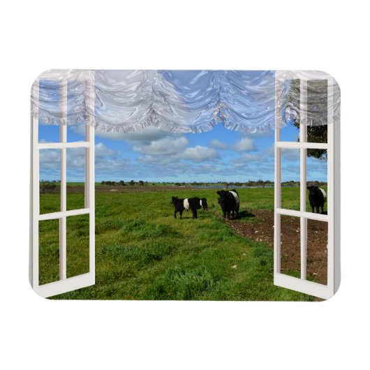 Galloway Cows Through a Window, Flexible Magnet (Horizontal)
