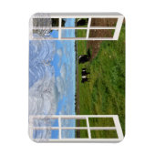 Galloway Cows Through a Window, Flexible Magnet (Vertikal)