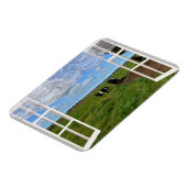 Galloway Cows Through a Window, Flexible Magnet (Linke Seite)