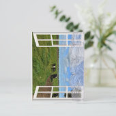 Galloway Cows Through a Window, Postcard Postkarte (Stehend Vorderseite)
