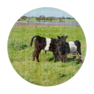 Galloway-Kälber, Zuschnitt Schneidebrett