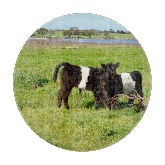 Galloway-Kälber, Zuschnitt Schneidebrett (Vorderseite)