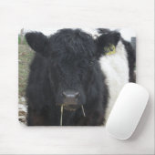 Galloway Kuh Eating Hay Mousepad (Mit Mouse)