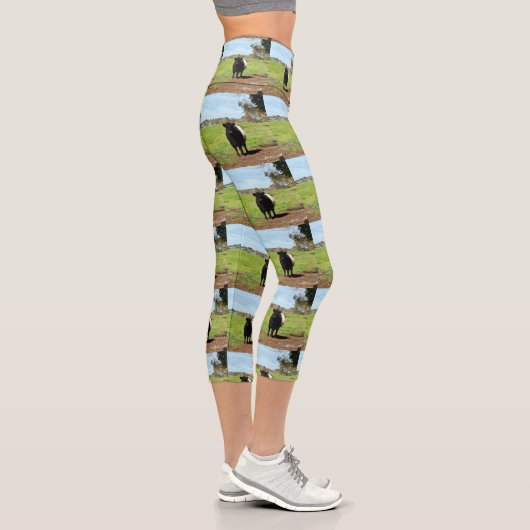 Galloway Kuh im Land, Hochkapseln-Leggings, Capri Leggings (Rechts)