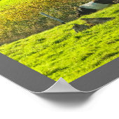 Galloway-Kuh in Glockenhaltung auf Rockport-Maine- Poster (Ecke)