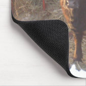 Galloway Kuh Mousepad (Ecke)