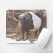 Galloway Kuh Mousepad (Mit Mouse)