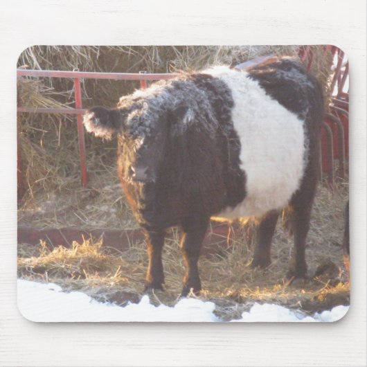 Galloway Kuh Mousepad (Vorne)
