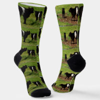 Galloway Kühe, Crew Socken