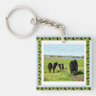 Galloway Kühe Gerahmt, Keyring Schlüsselanhänger