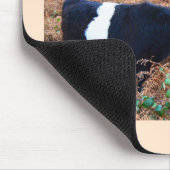 Galloway-Rinder Mousepad (Ecke)