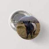 Galloway Stehend Stolz auf Dartmoor Farmlan Button (Vorne & Hinten)