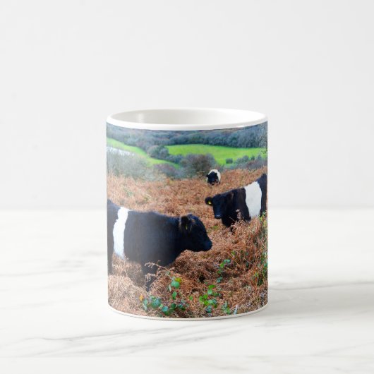Galloways Kaffeetasse (Mittel)