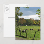 Galloways Postkarte (Vorne/Hinten)