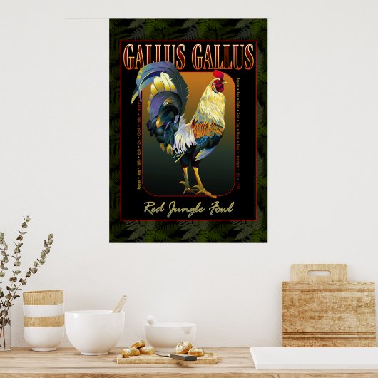 Gallus Gallus International Poster (Küche)