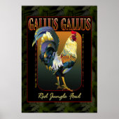 Gallus Gallus International Poster (Vorne)