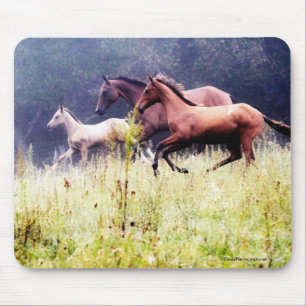 Galoping Pferde Fotografie Mousepad