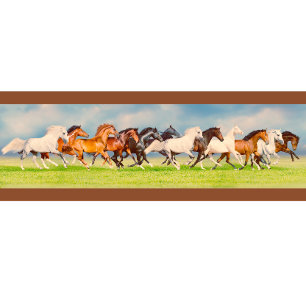 Galopp T-Shirt