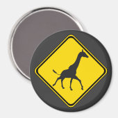 Galoppen Giraffen Xing! Magnet (Vorderseite/Rückseite)