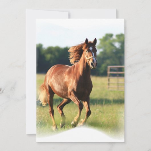 Galoppierende Kastanien-Einladung Einladung (Vorderseite)