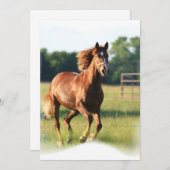 Galoppierende Kastanien-Einladung Einladung (Vorne/Hinten)