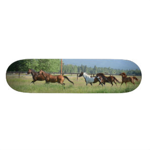 Galoppierende Pferde Skateboard