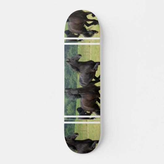 Galoppierendes friesisches PferdeSkateboard Skateboard (Vorne)