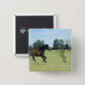 Galoppierendes Mustang-Quadrat-Button Button (Vorne & Hinten)