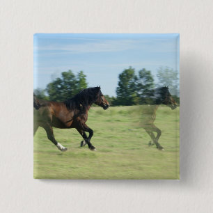 Galoppierendes Mustang-Quadrat-Button Button