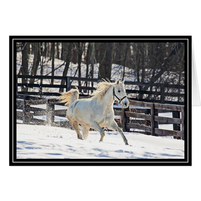 Galoppierendes weißes Pferd (Vorderseite (Horizontal))