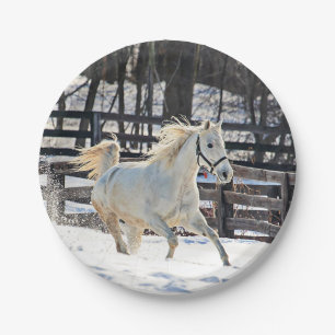 Galoppierendes weißes Pferd Pappteller