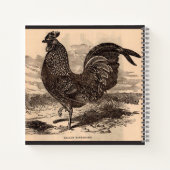 Galus Sonneratii Hahnenprint aus dem 19. Jahrhunde Notizblock (Rückseite)