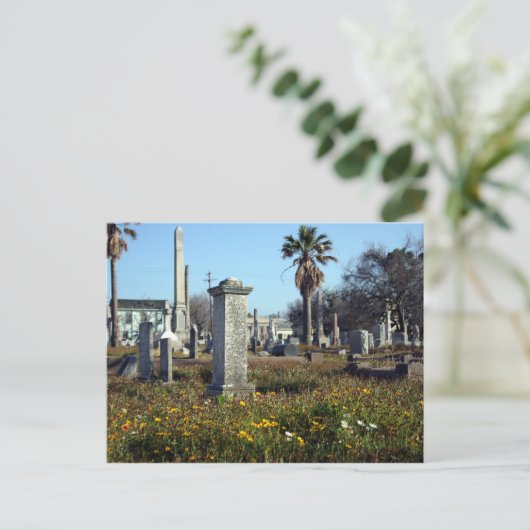 Galveston Graveyard Postkarte (Stehend Vorderseite)