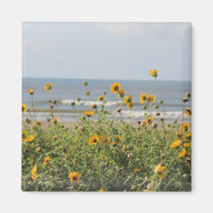 Galveston Insel-Strand-Blumen-Magnet Magnet