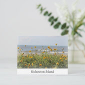 Galveston Island Beach Blume Postcard Postkarte (Stehend Vorderseite)