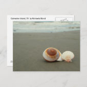 Galveston Island Postcard Postkarte (Vorne/Hinten)