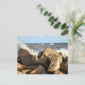 Galveston Sea Wall Postkarte (Stehend Vorderseite)