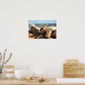 Galveston Seawall Poster (Küche)