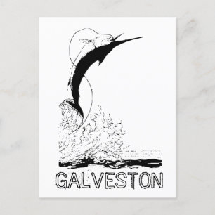 Galveston, TX Sportfish Postkarte