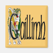 Galway (gälisch) Magnet (Vorne)