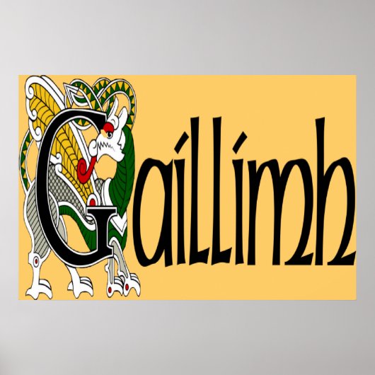 Galway (gälisch) Poster Print (Vorne)