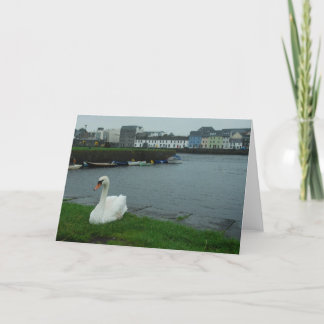 Galway Swan Note Card Karte