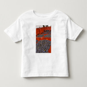 Gamay-Trauben direkt vom Ernteort in der Kleinkind T-shirt