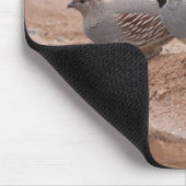 Gambel-Quail von Männern und Frauen Mousepad (Ecke)