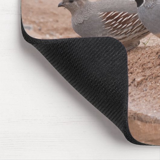 Gambel-Quail von Männern und Frauen Mousepad (Ecke)
